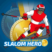 Slalom Hero